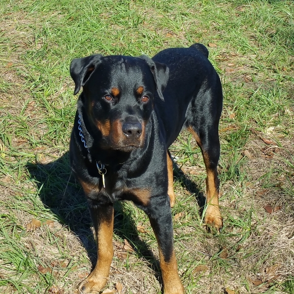 Not for sale - Picture 9 of 12